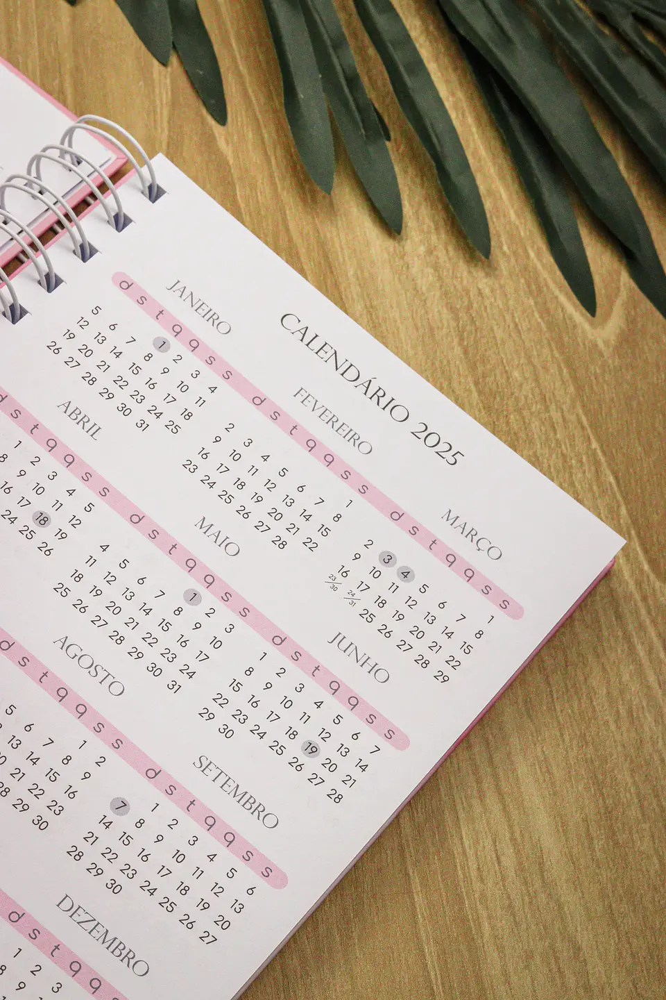 Arquivo Planner Financeiro 2025 - Estudio G19 27