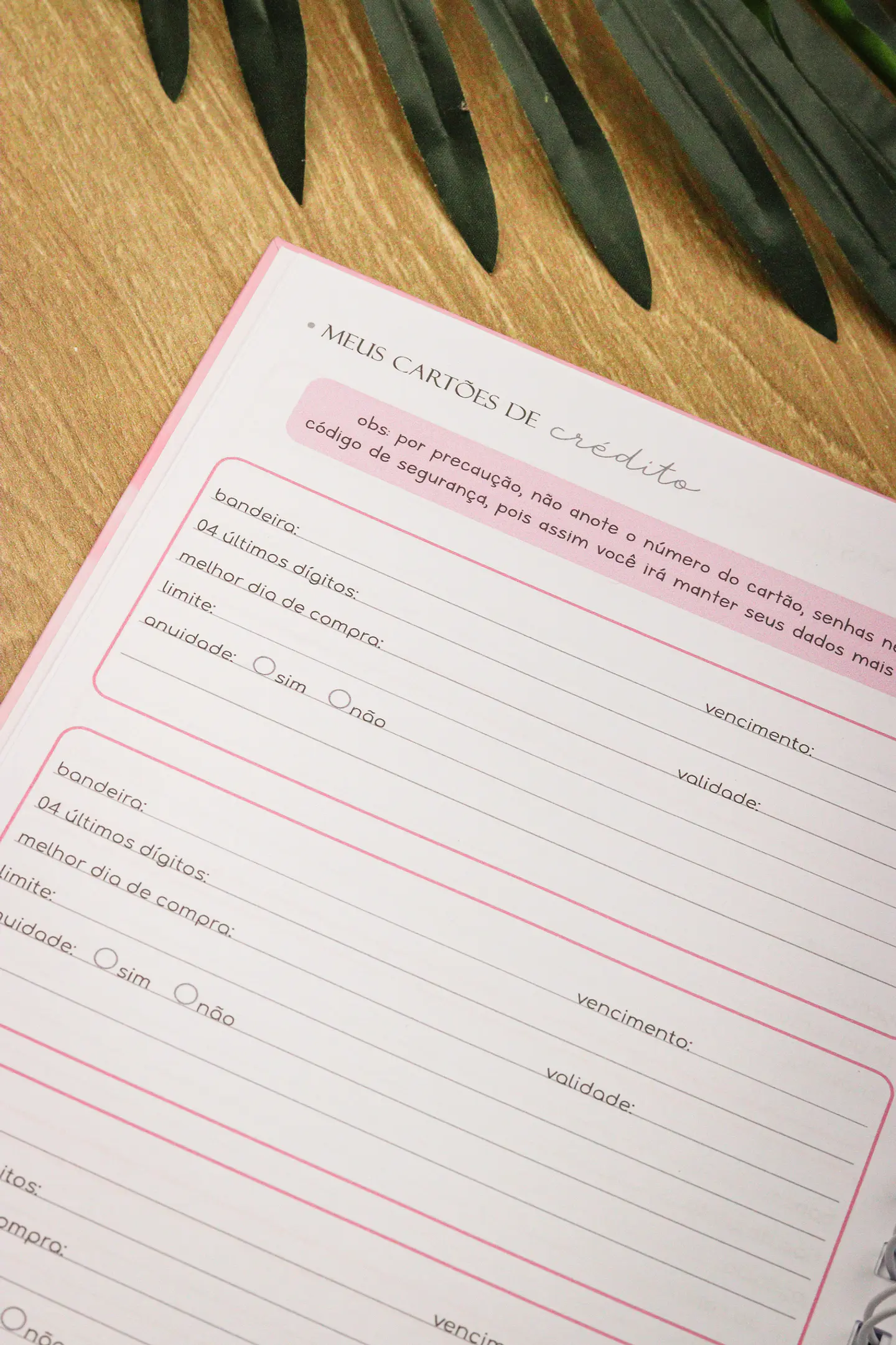 Arquivo Planner Financeiro 2025 - Estudio G19 30