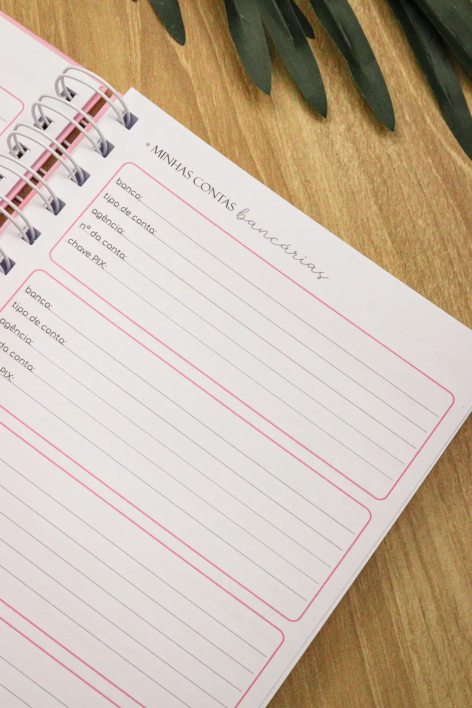 Arquivo Planner Financeiro 2025 - Estudio G19 31