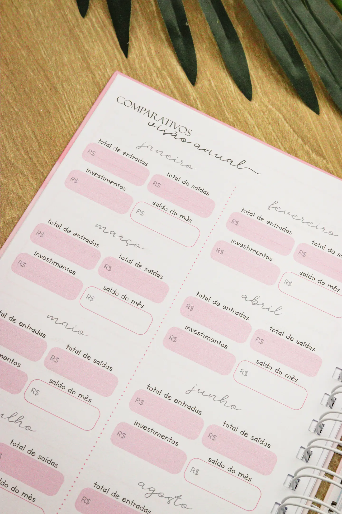 Arquivo Planner Financeiro 2025 - Estudio G19 33