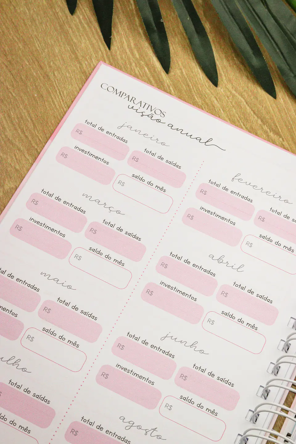 Arquivo Planner Financeiro 2025 - Estudio G19 33