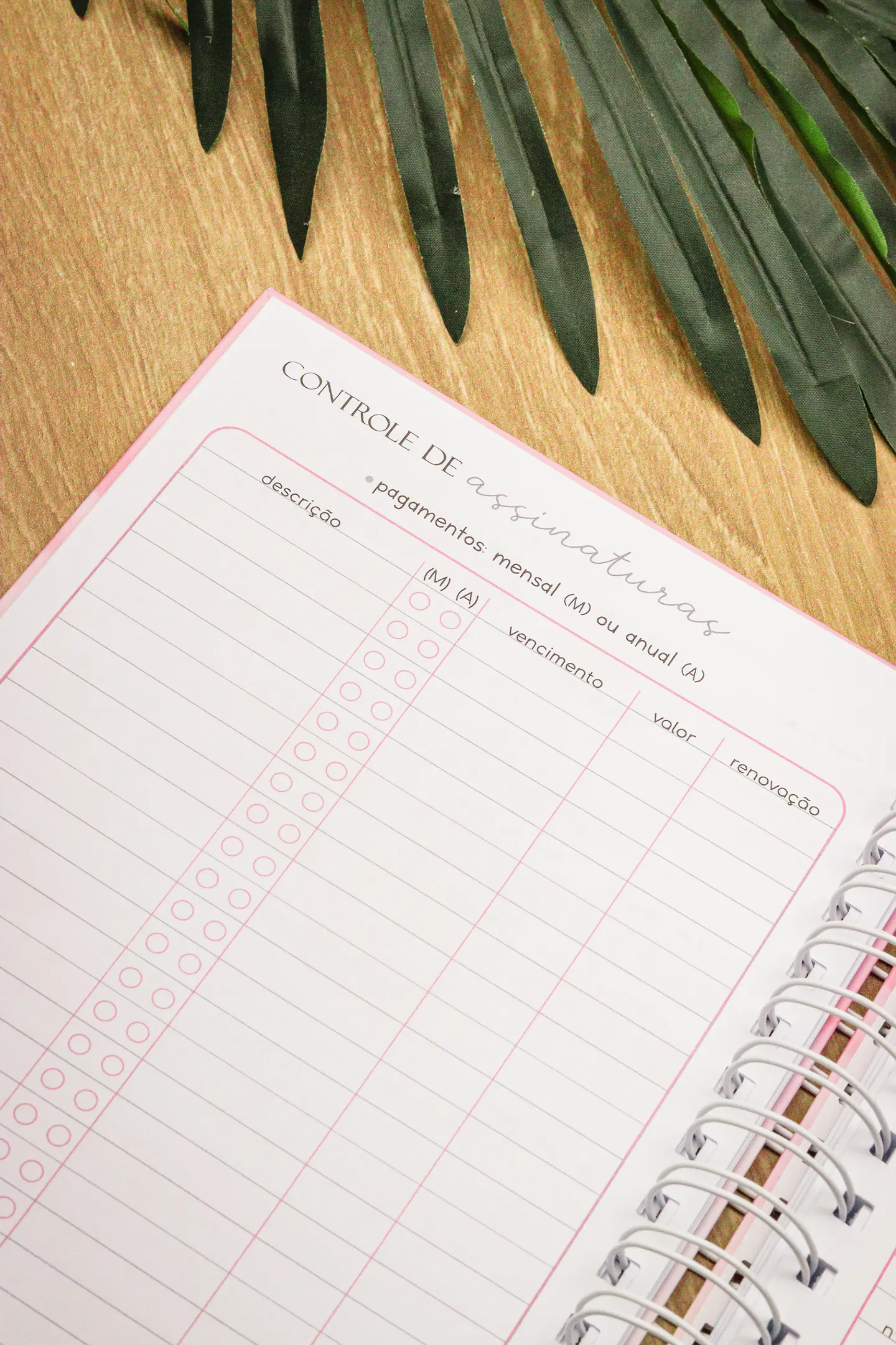 Arquivo Planner Financeiro 2025 - Estudio G19 34