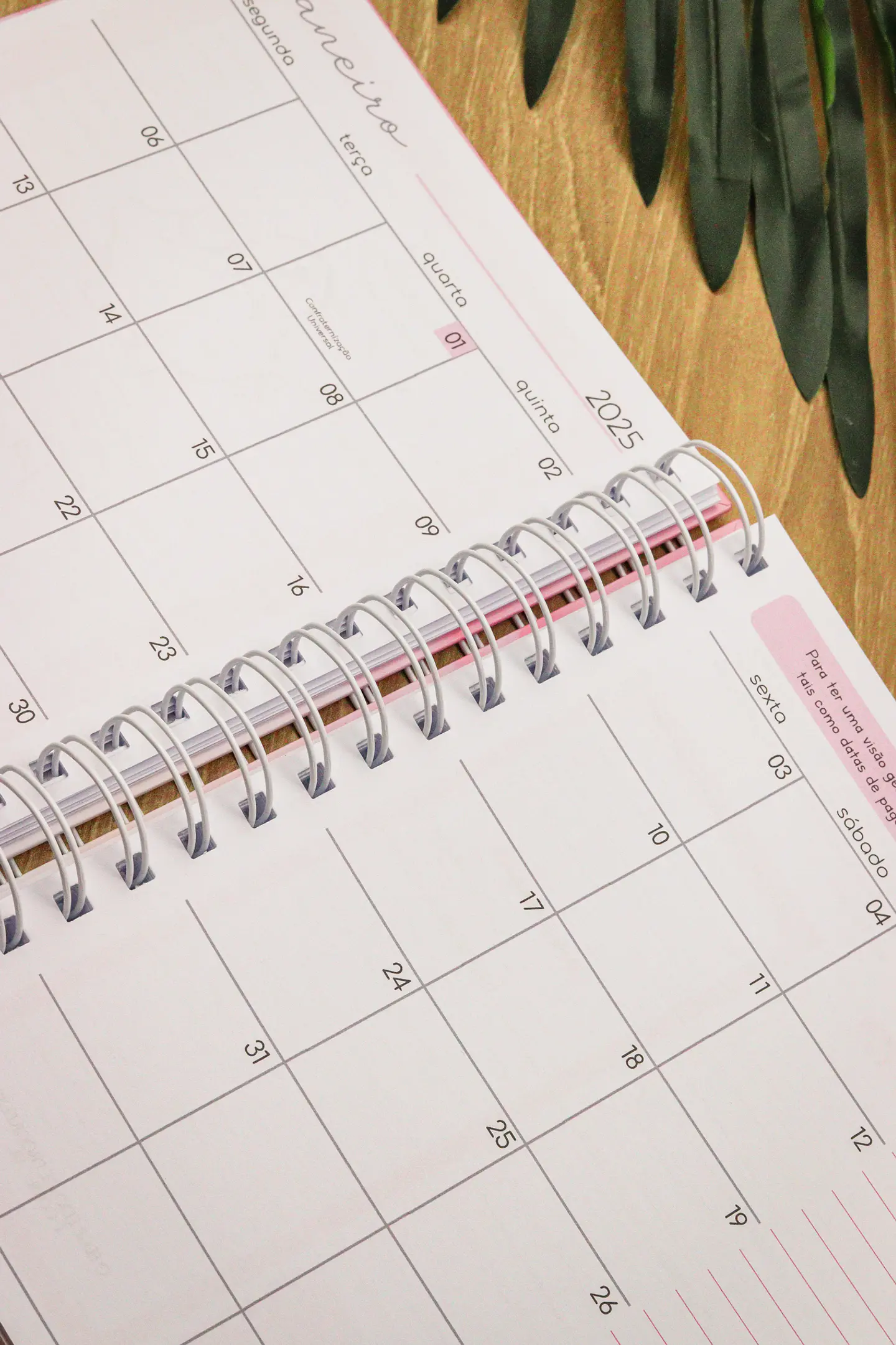 Arquivo Planner Financeiro 2025 - Estudio G19 38