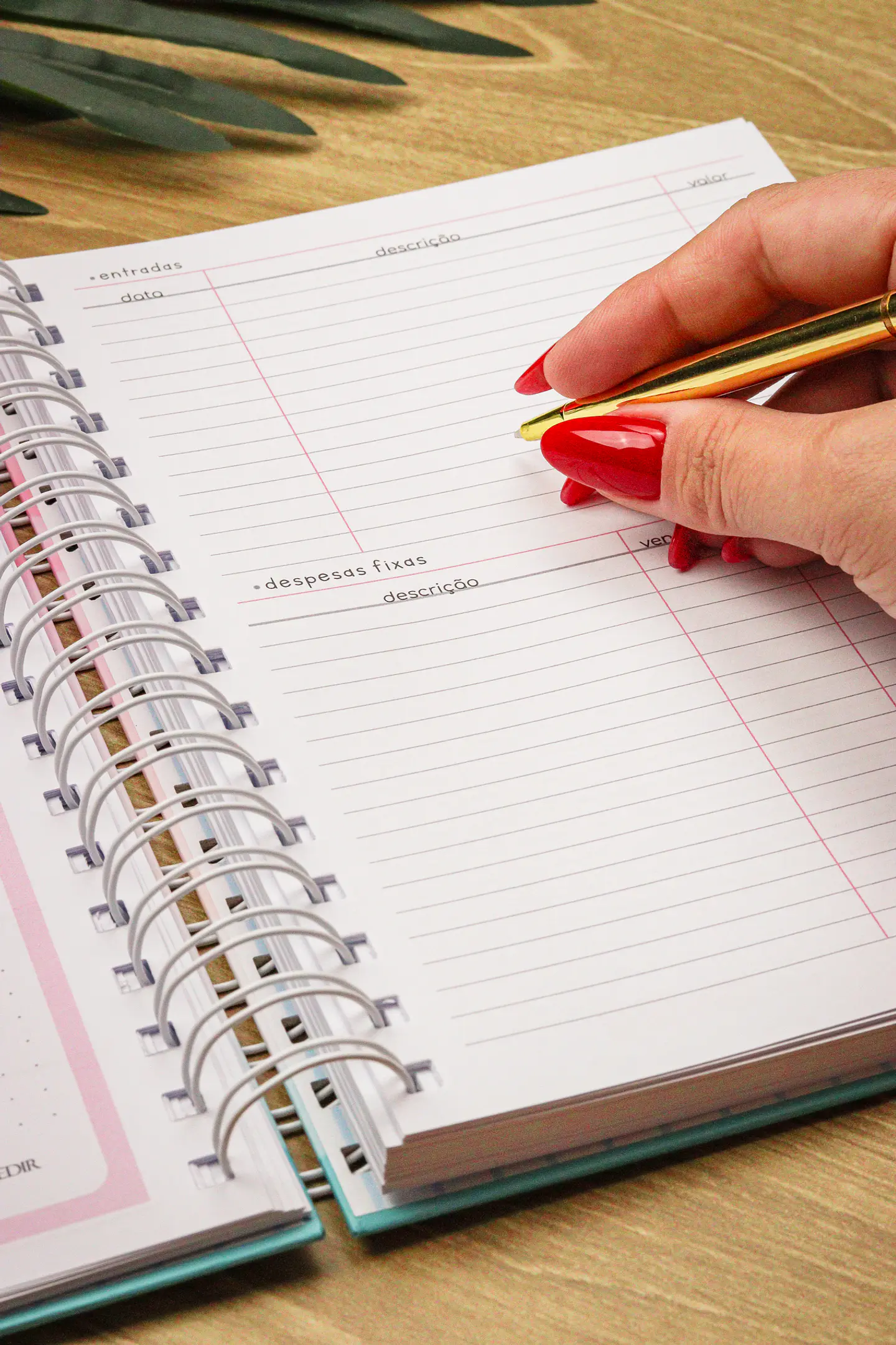 Arquivo Planner Financeiro 2025 - Estudio G19 44