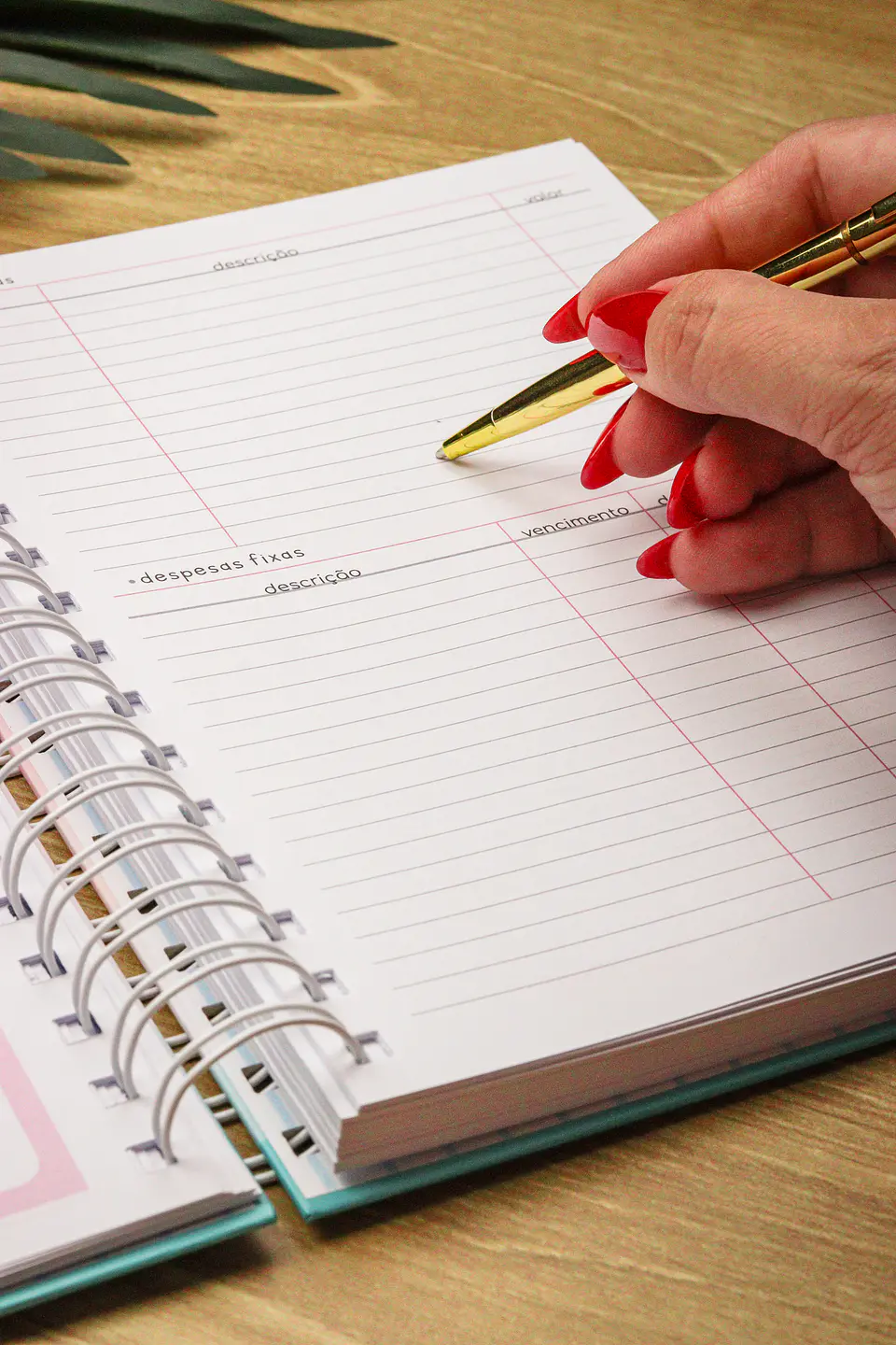 Arquivo Planner Financeiro 2025 - Estudio G19 45