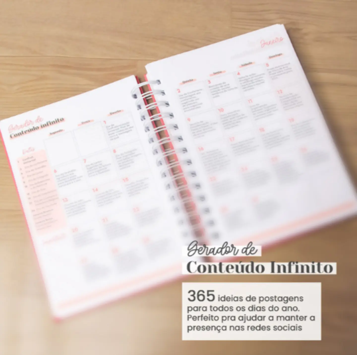 Arquivo Super Combo Planner da Empreendedora + Artesã | Permanente + Datado 2025 - AMARANTTO 5