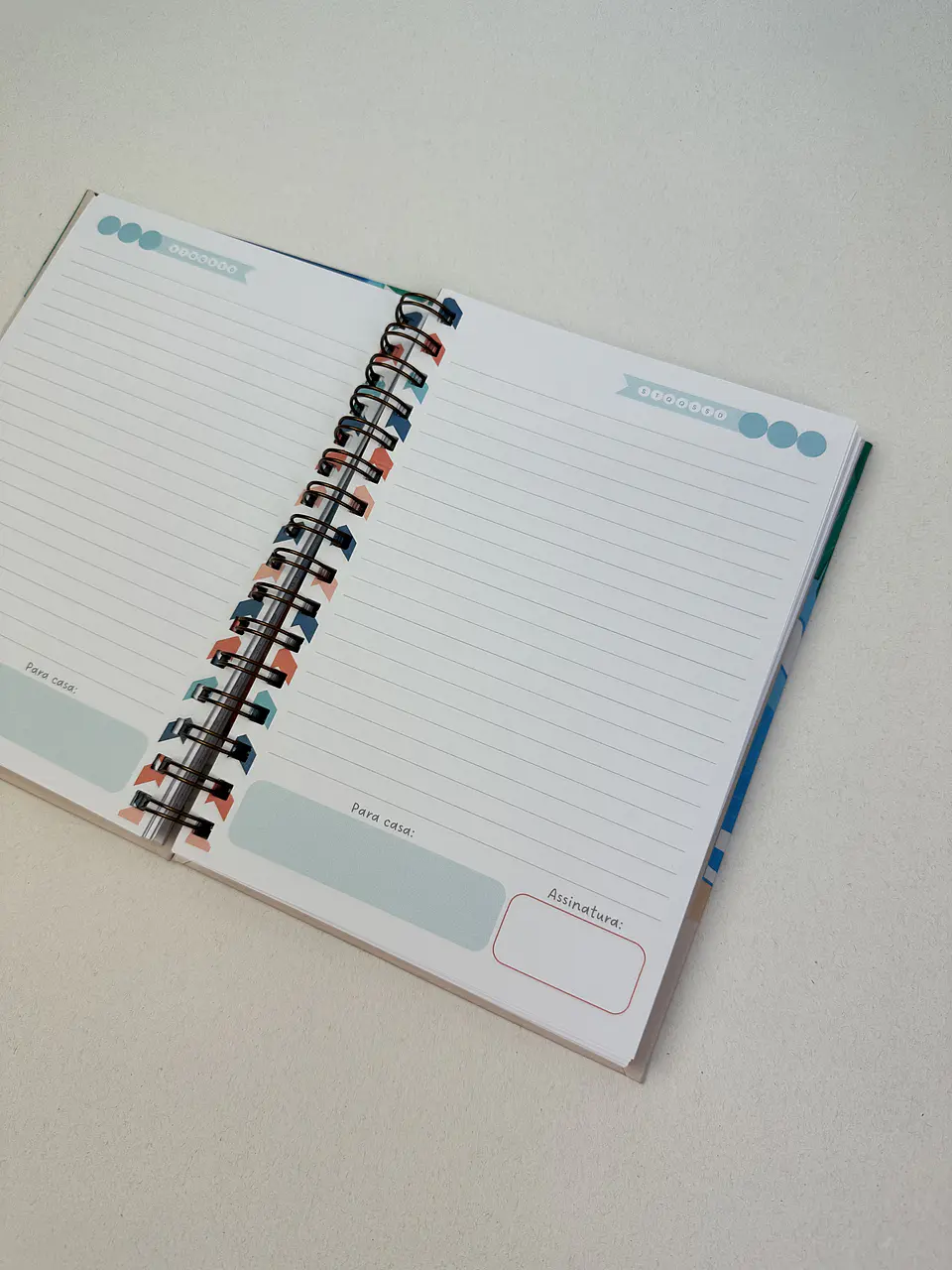 Arquivo Little Boys - Combo Encadernação Escolar 13