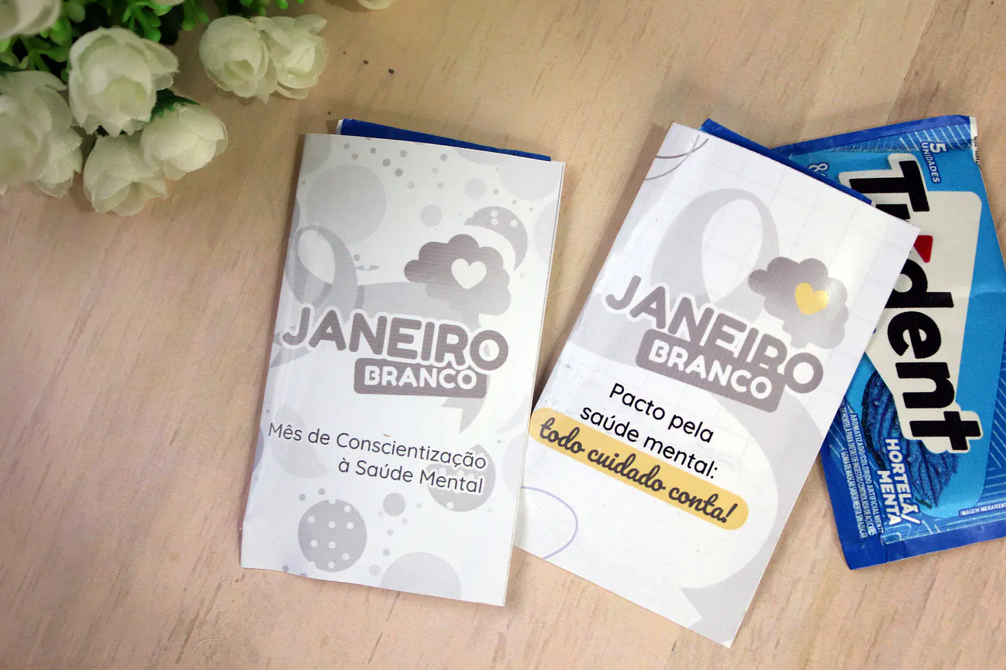 Arquivo Trident - Janeiro Branco Loopinha 1