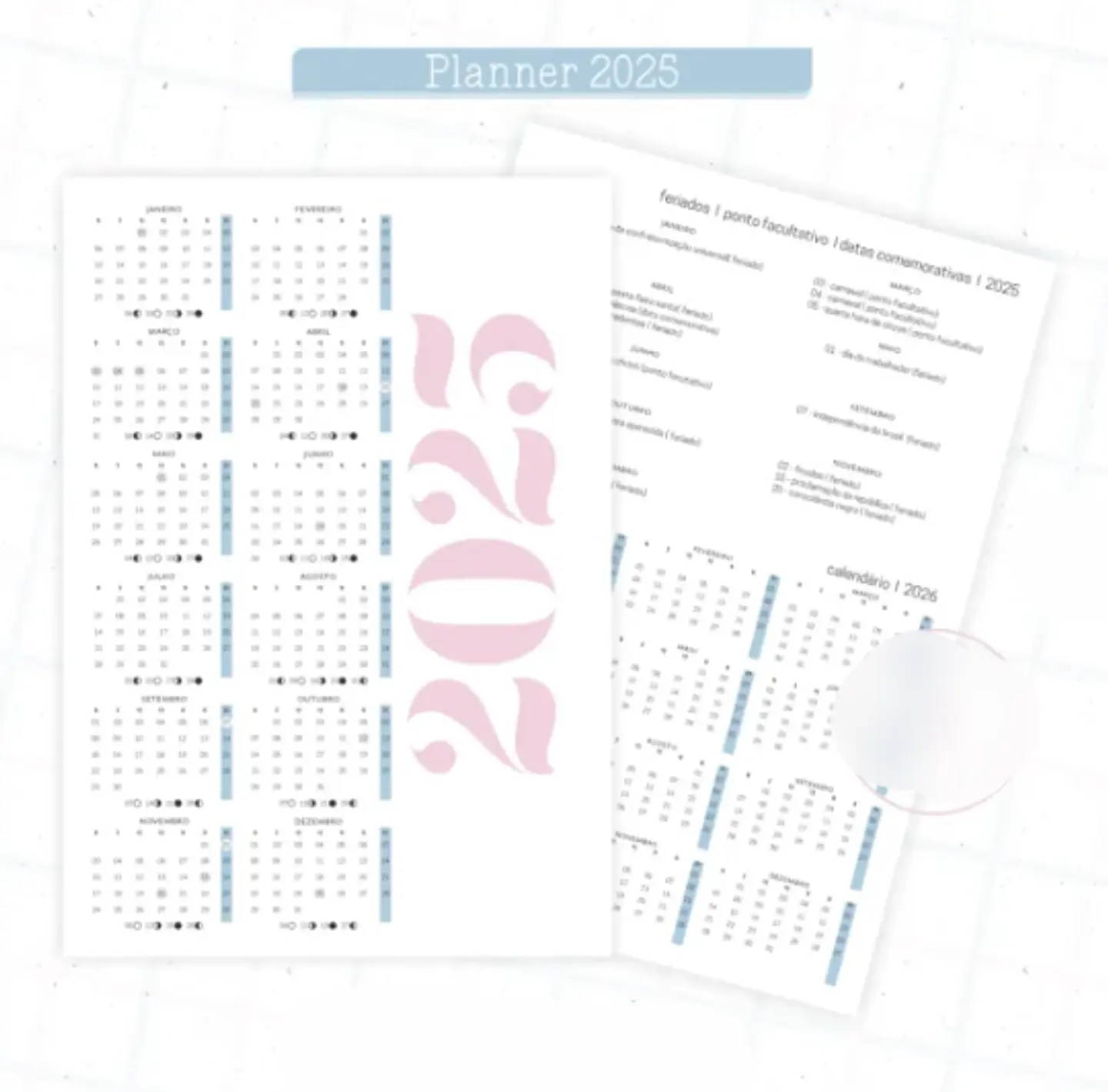 Arquivo Planner Floral 2025 Azul e Rosa - Criativa Afetiva 2