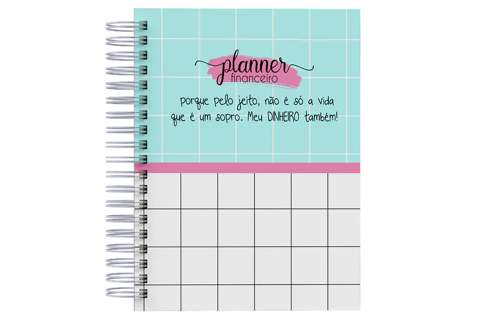 Arquivo Planner Financeiro Frases 2025 - BM ARQUIVOS 12