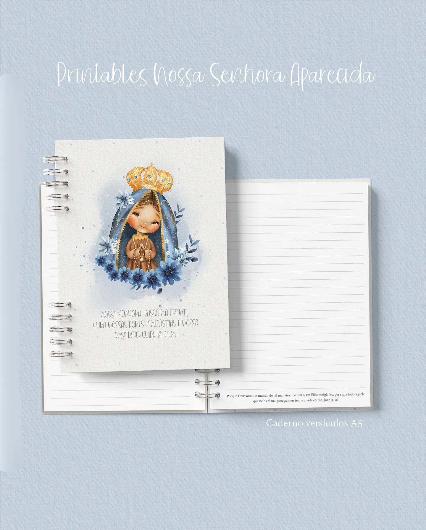 Arquivo Encadernação Combo Nossa Senhora Aparecida - CARINAS 10