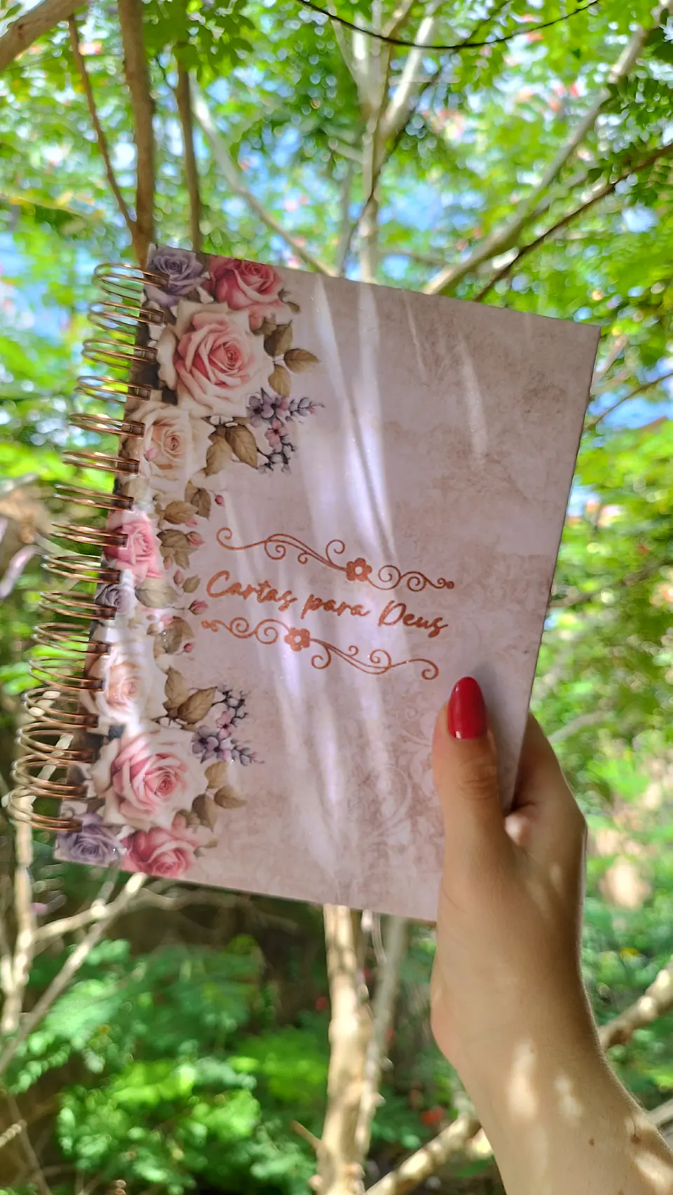 Arquivo Planner Devocional 2025 - PERFEITO MIOLO 5