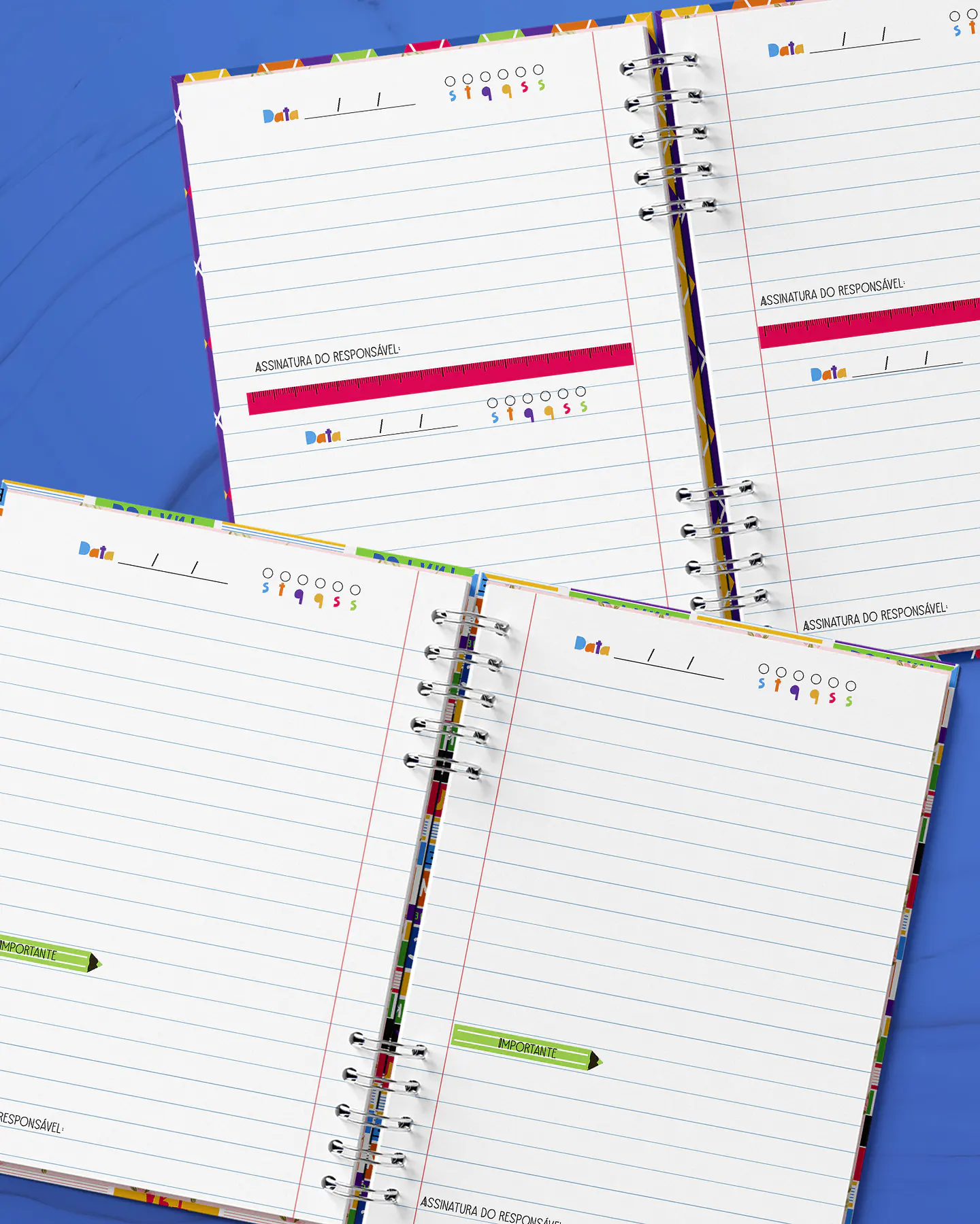 Arquivo Combo Agenda Escolar 2025 - BICHO PAPEL 11