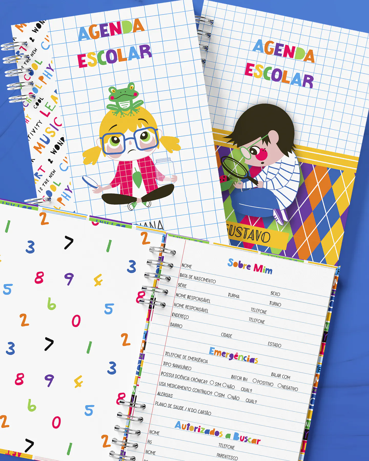 Arquivo Combo Agenda Escolar 2025 - BICHO PAPEL 12