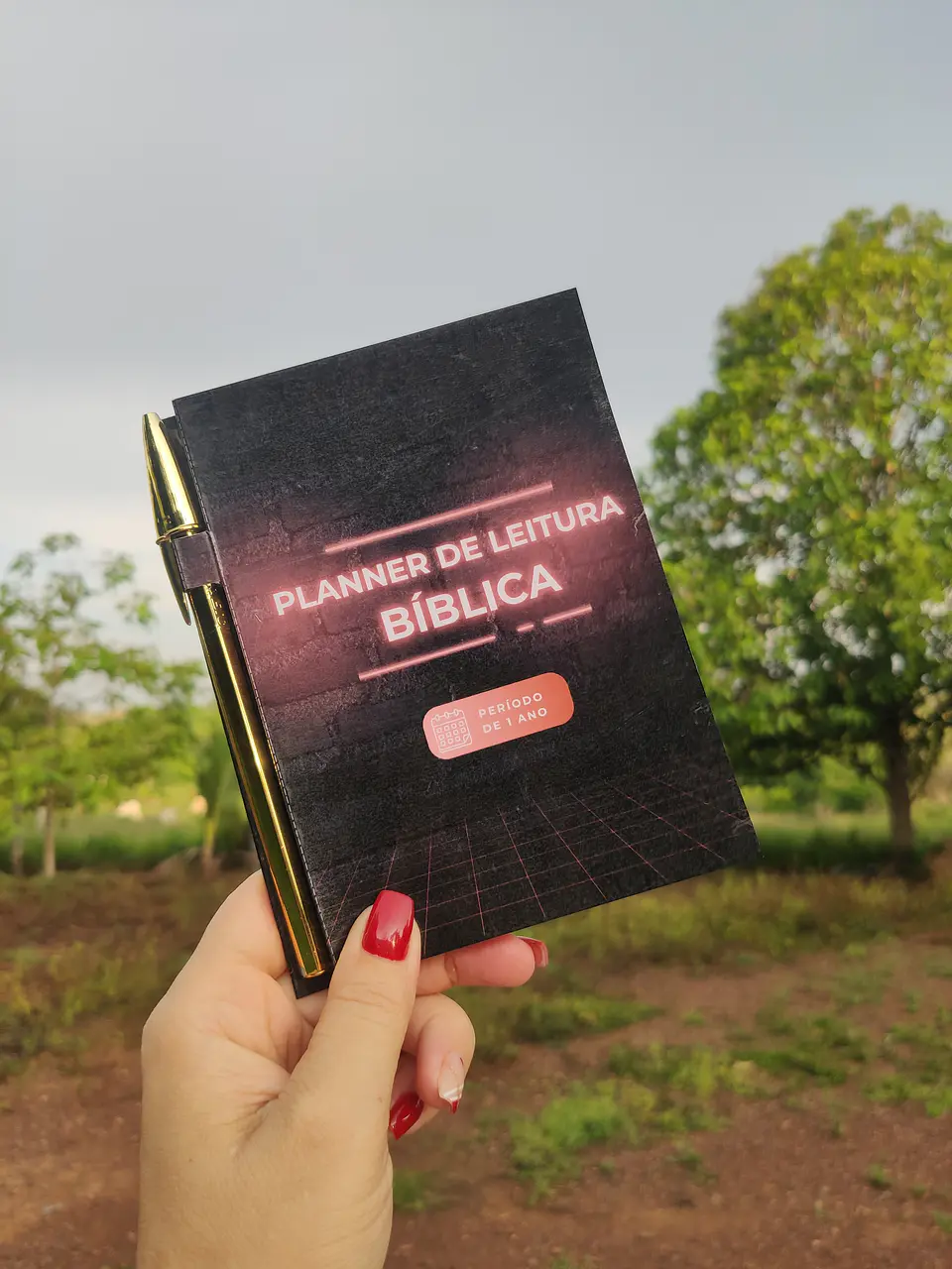 Arquivo Mini Planner de Leitura Bíblica - DE ROCHA 4