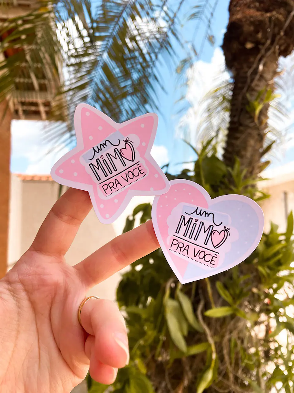 Arquivo Pacote Cliente - Pandoca 6