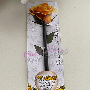 Arquivo Dia da Mulher Combo - CRISOLART