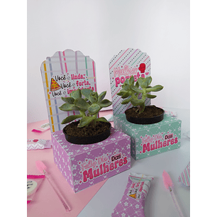 Arquivo de Corte Suculenta Dia das Mulheres