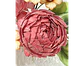 Arquivo de Corte Arranjo de Flores - ARRANJO JU MIRTHES - Thumbnail 2