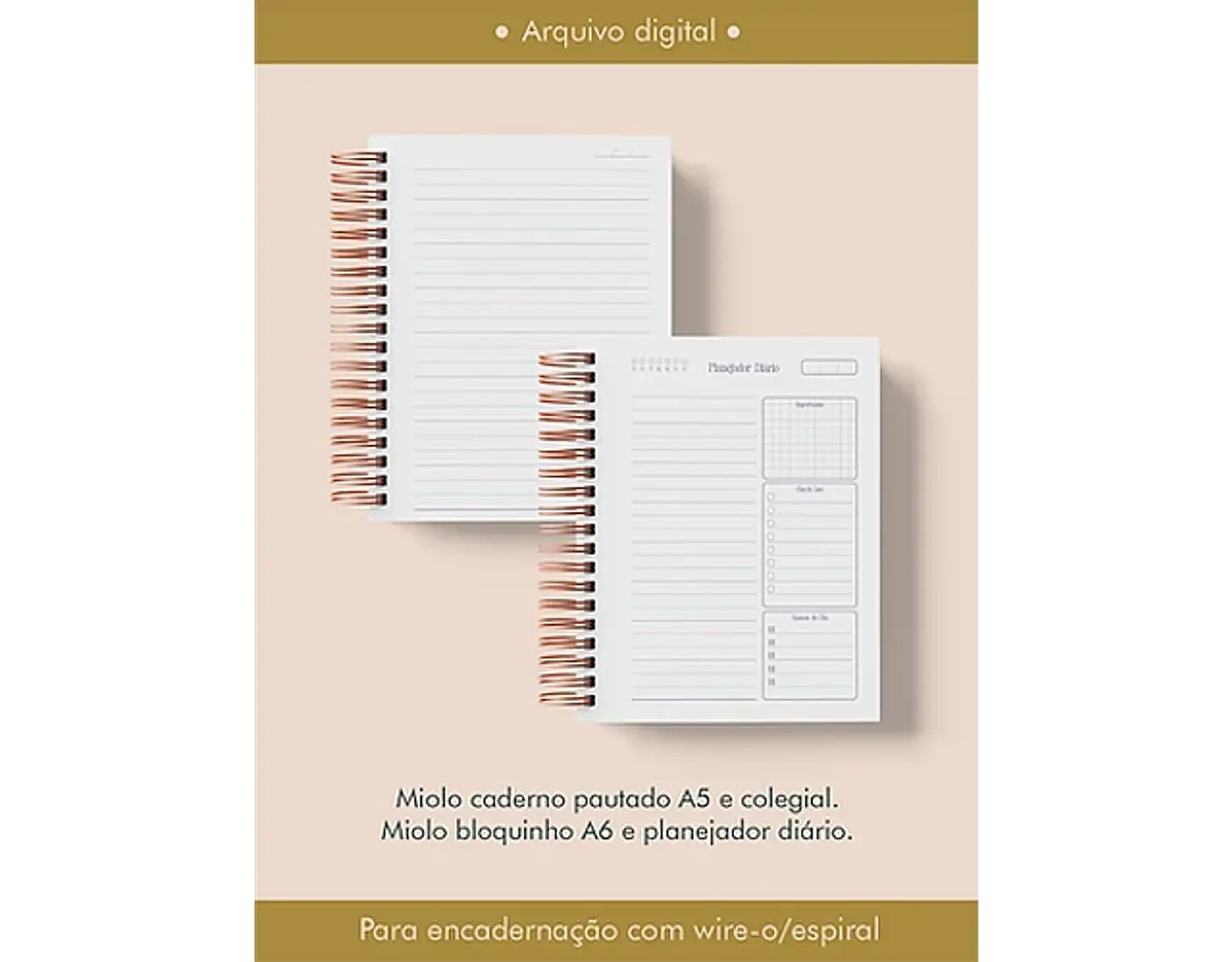 Arquivo Combo Profissões Saúde - Perfeito Miolo 4