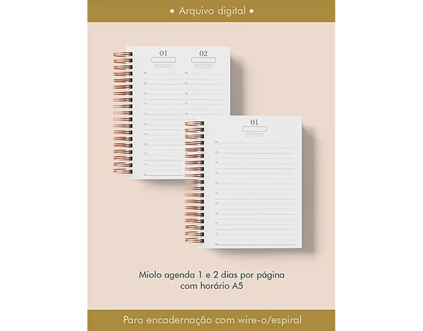 Arquivo Combo Profissões Saúde - Perfeito Miolo 5
