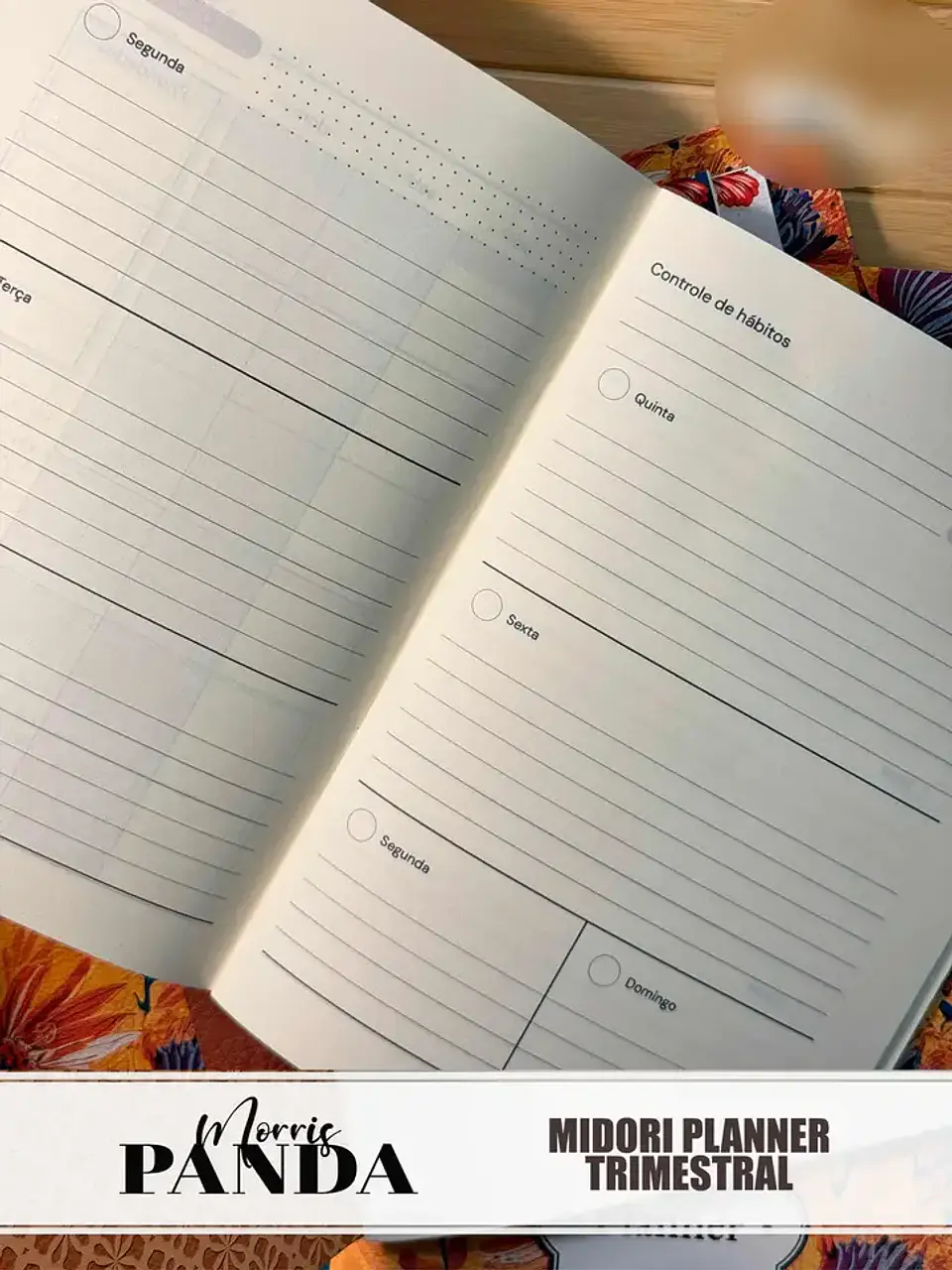 Arquivo Panda Morris Midori Planner Trimestral  5