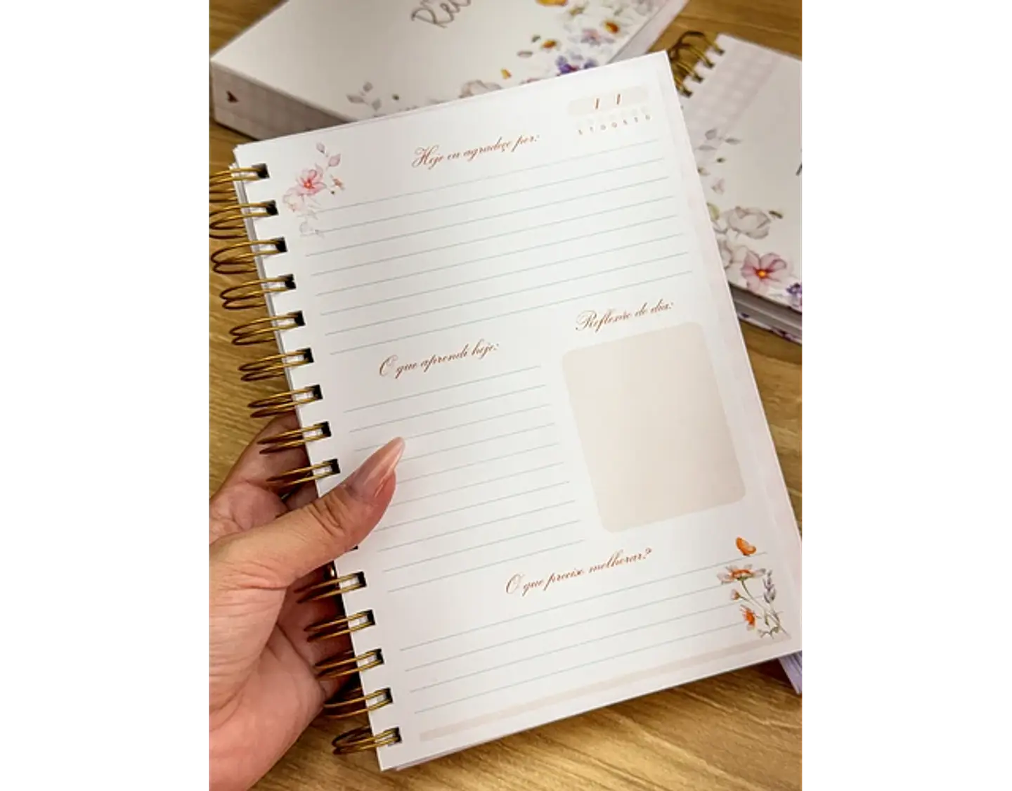 Arquivo caderno da gratidão - ESTUDIO G19 2