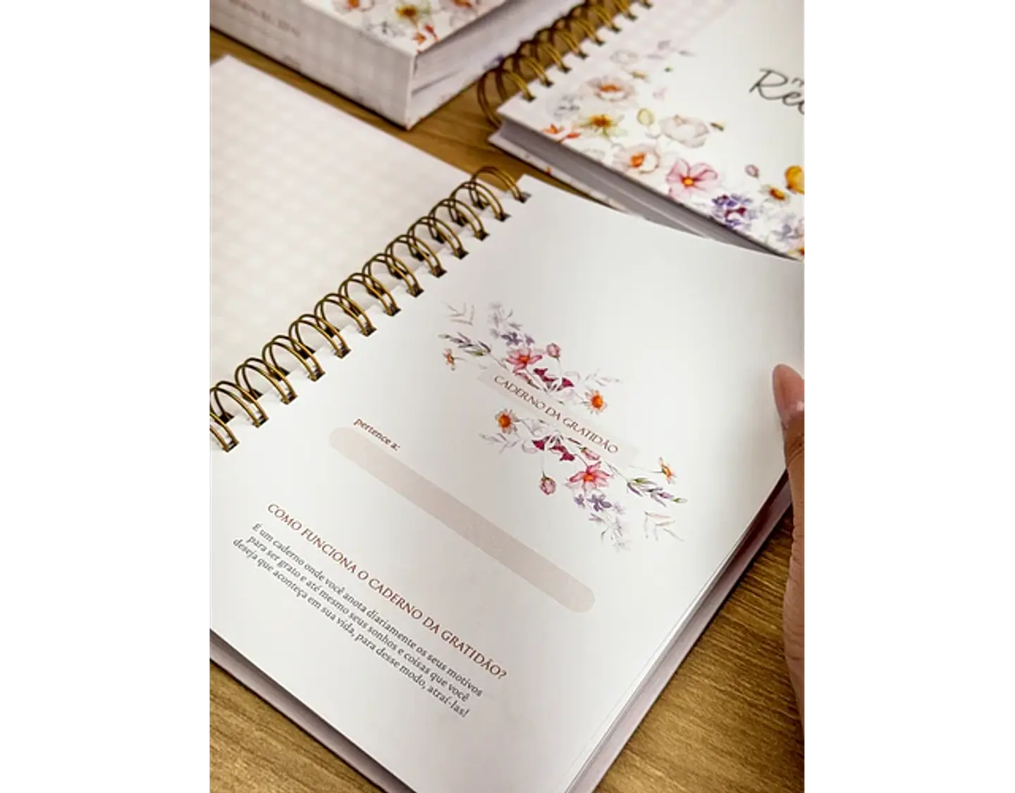 Arquivo caderno da gratidão - ESTUDIO G19 3