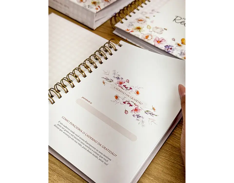 Arquivo caderno da gratidão - ESTUDIO G19 3