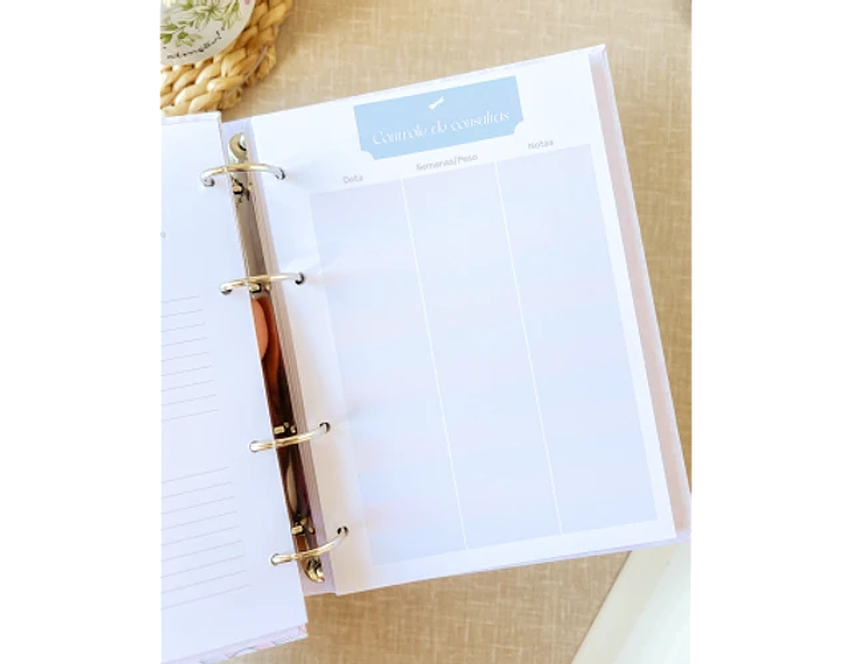 Arquivo dia das mães encadernar - DUO ARQUIVOS 10