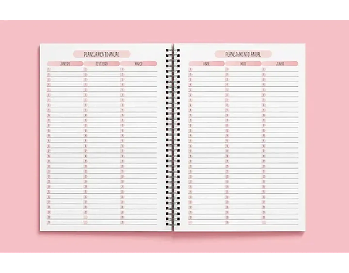 Arquivo miolo agenda 2024 visão semanal rosa -Tha moni 2