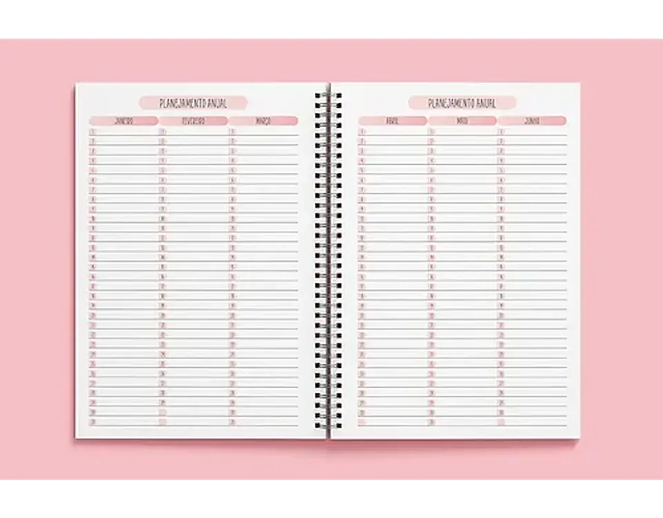 Arquivo miolo agenda 2024 visão semanal rosa -Tha moni 2