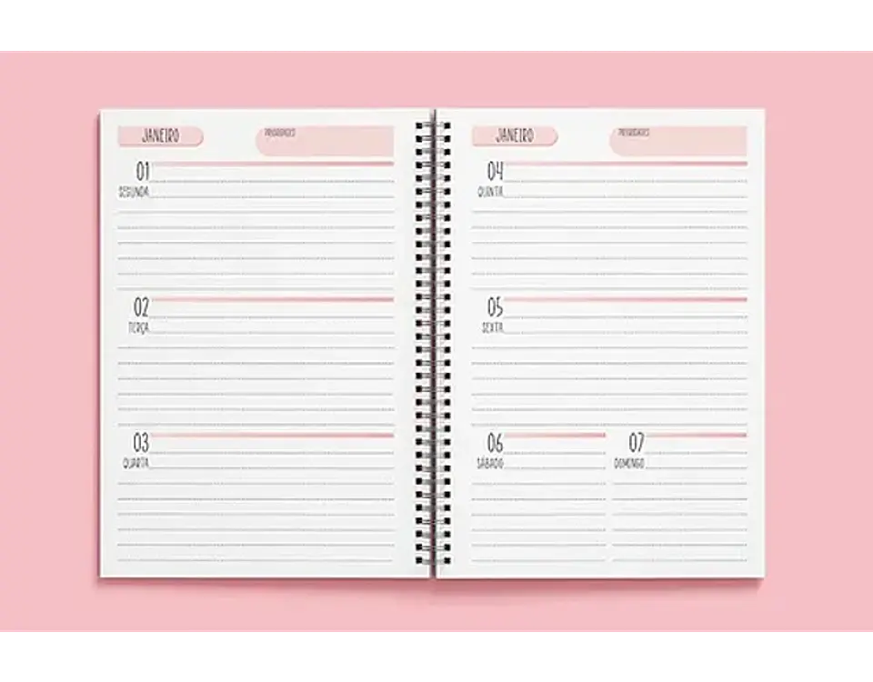 Arquivo miolo agenda 2024 visão semanal rosa -Tha moni 1