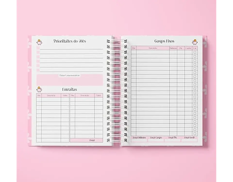 Arquivo planner financeiro permanente - THA MONI 5