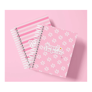 Arquivo planner financeiro permanente - THA MONI