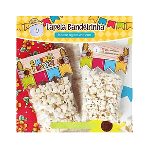 Arquivo festa junina lapela bandeirinha - ART IDEIA