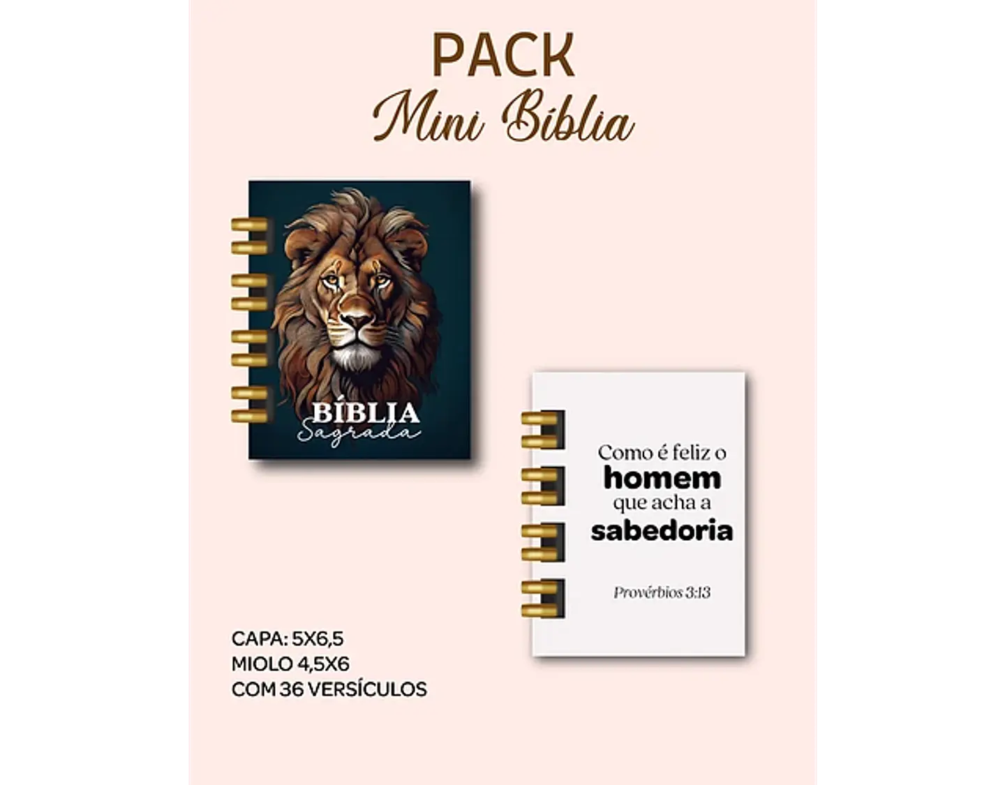 Arquivo encadernação pack mini bíblias - DREAM ARTS 11
