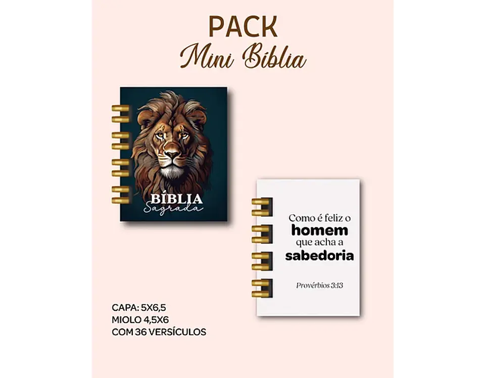 Arquivo encadernação pack mini bíblias - DREAM ARTS 11