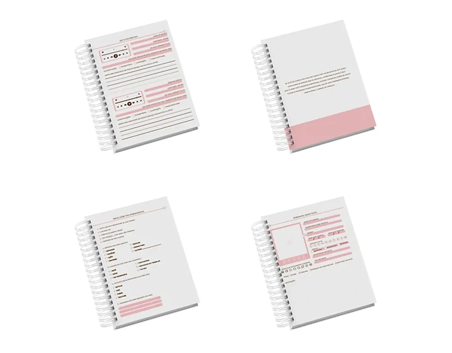 Arquivo Planner da Dorameira - Thay Athallah 3