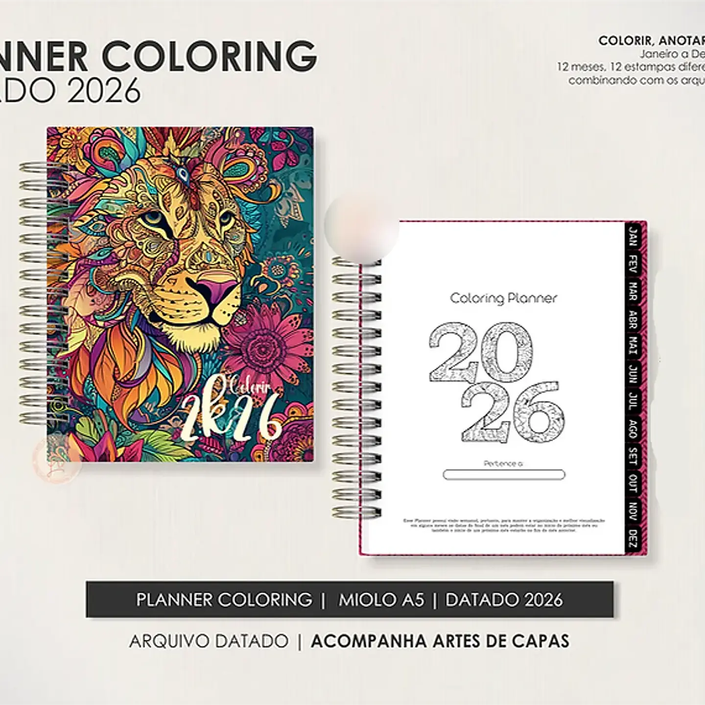 Arquivo Combo Coloring - Moldes da Lê 8