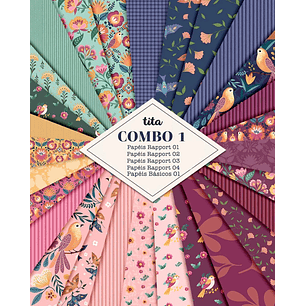 Kit Digital Pássaros Combo Papéis 01 - Tita