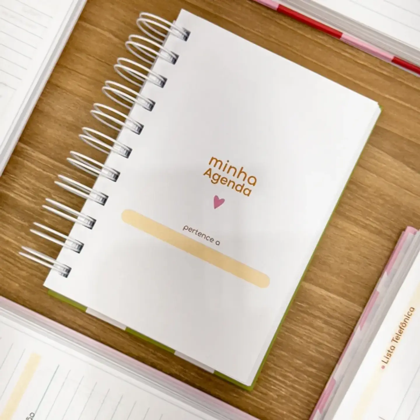 Arquivo Combo Agendas Fofas 2026 - G19 9