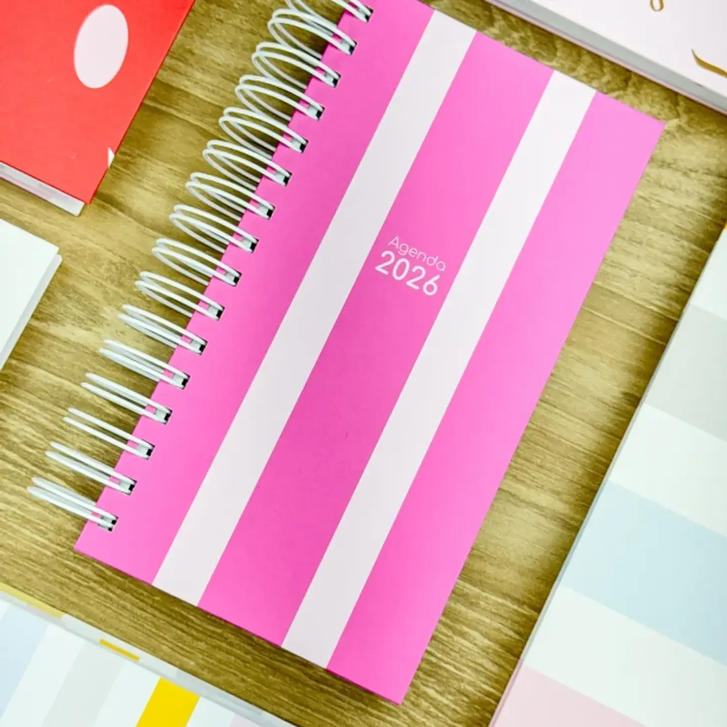 Arquivo Combo Agendas Fofas 2026 - G19 12