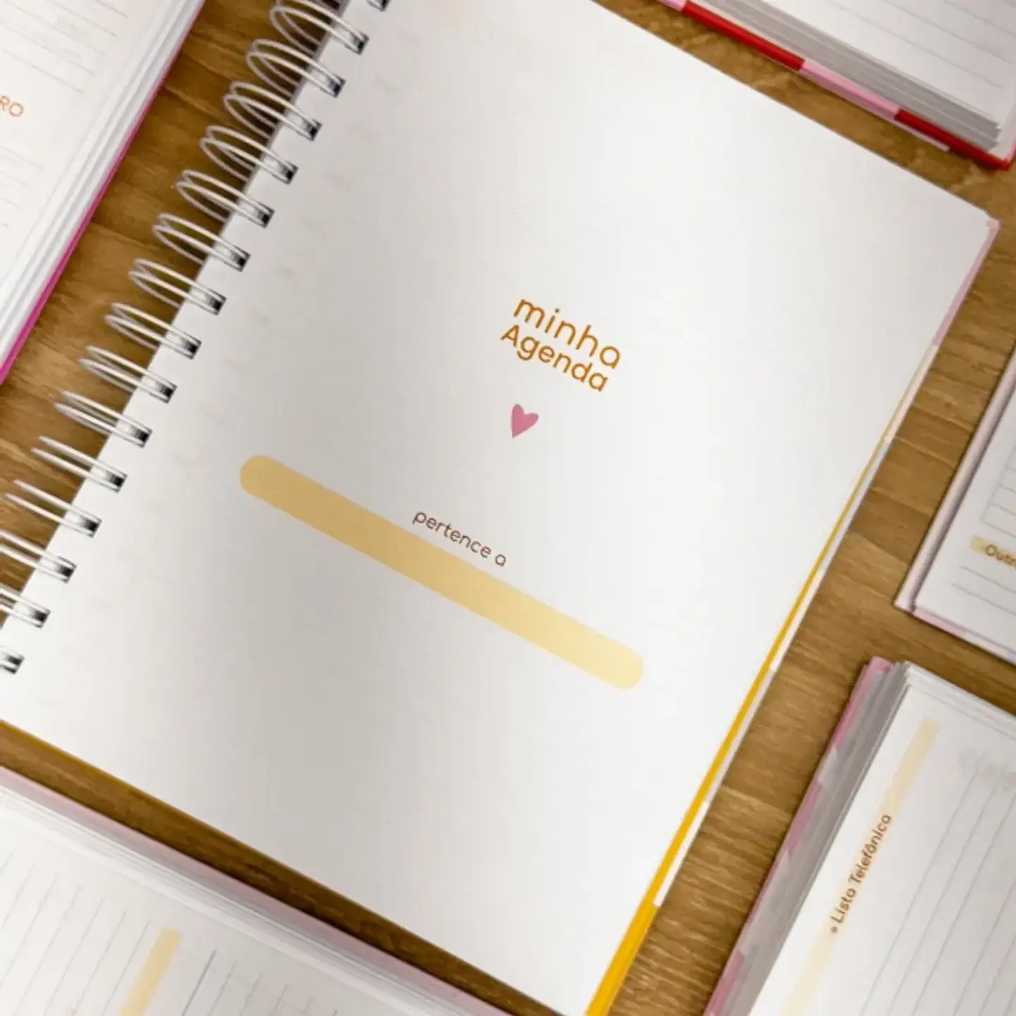 Arquivo Combo Agendas Fofas 2026 - G19 15