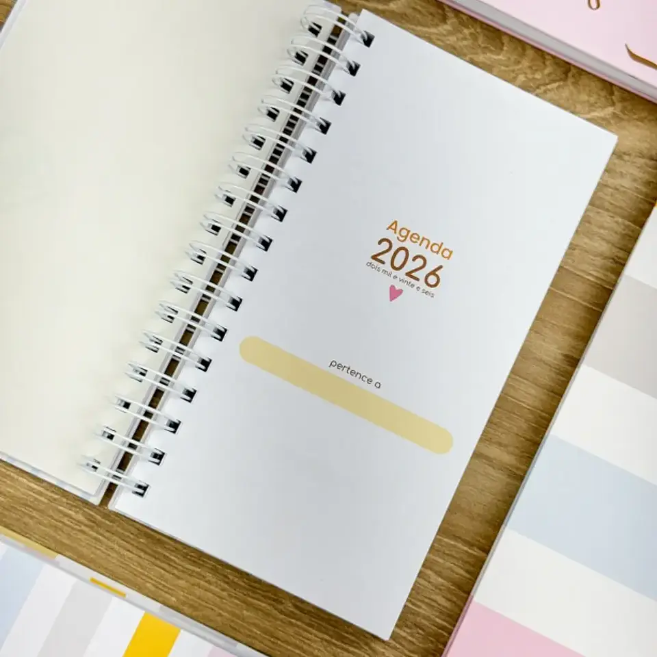 Arquivo Combo Agendas Fofas 2026 - G19 19