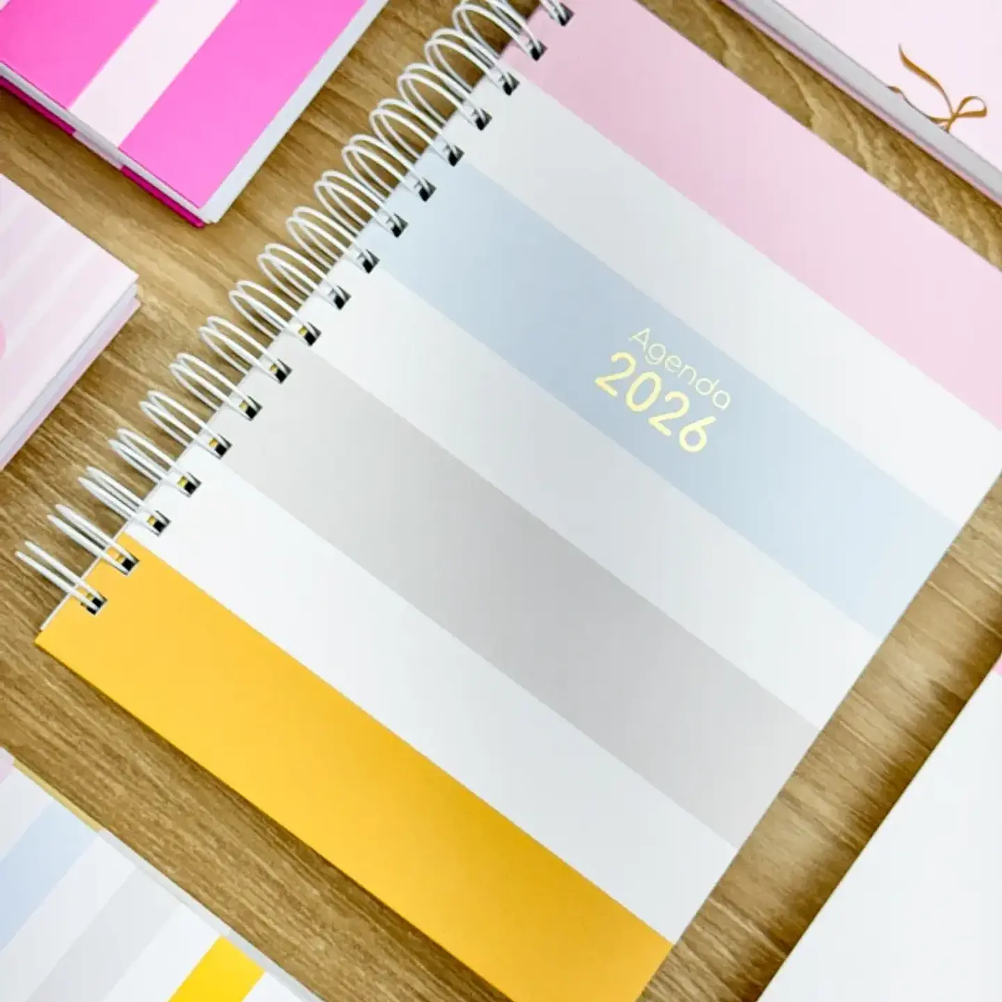 Arquivo Combo Agendas Fofas 2026 - G19 24