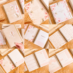 Arquivo Agendamentos + Profissões 2026 - Papel Amado