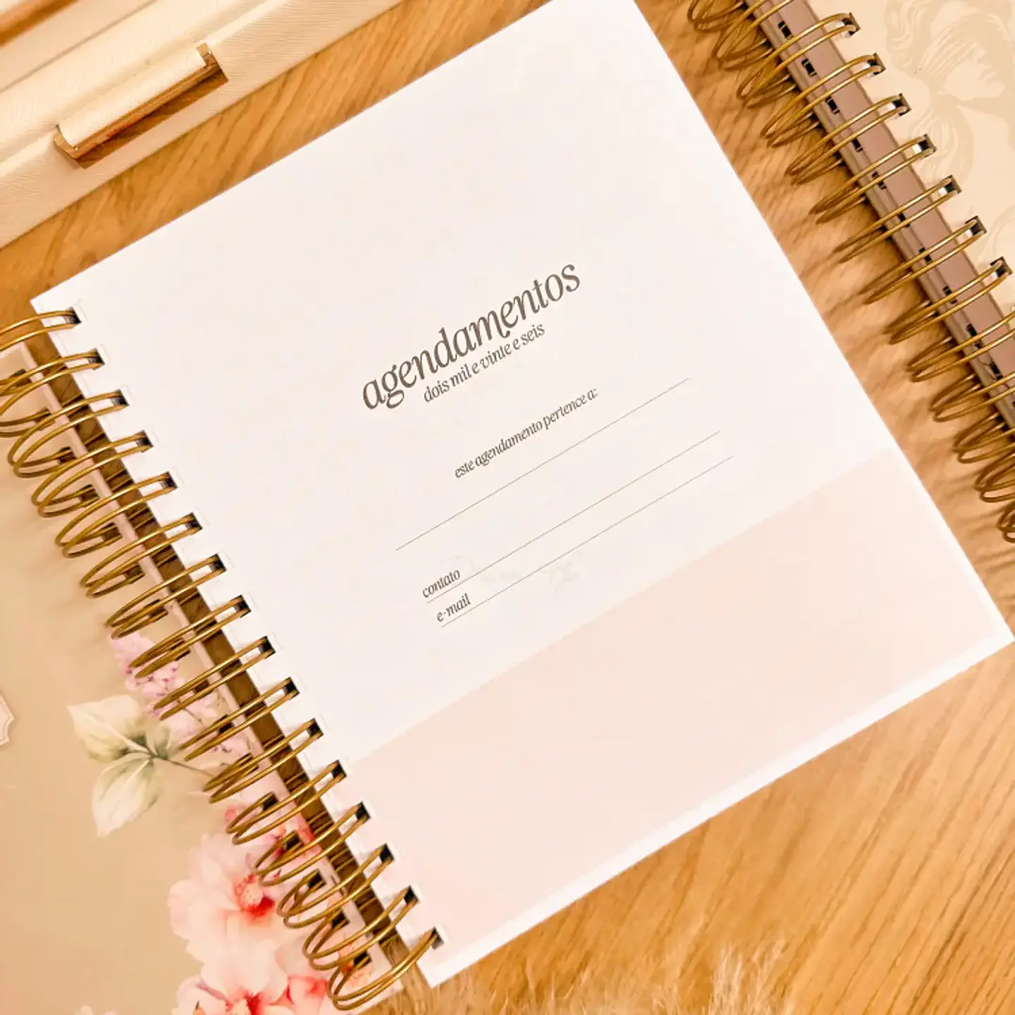 Arquivo Agendamentos + Profissões 2026 - Papel Amado 20
