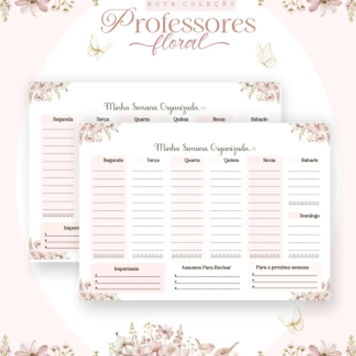 Arquivo Pack Professores Clean - Pamella 8