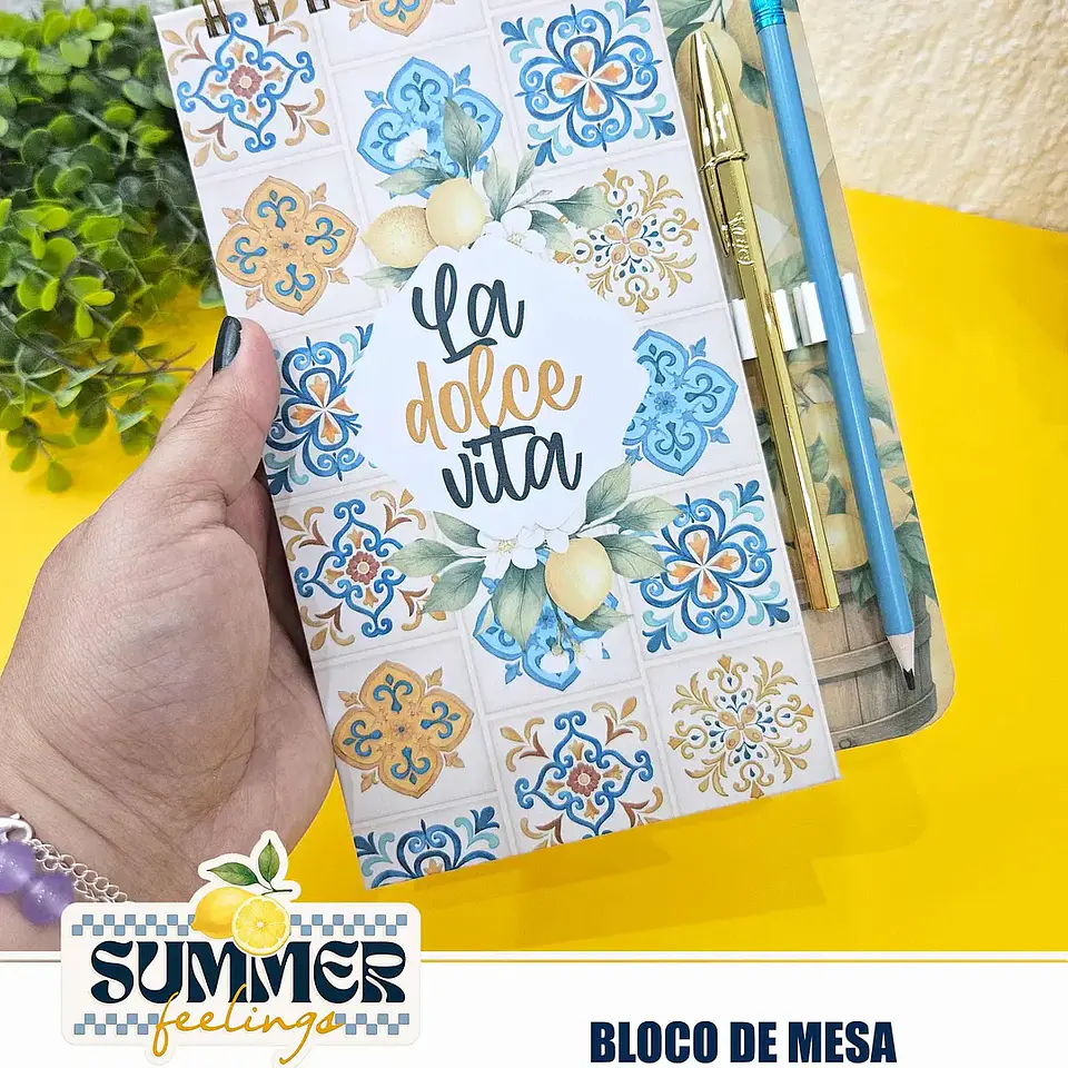 Arquivo Summer Feelings Encad Especial + VÍDEO 4